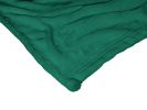 Cleveland State OFFICIAL NCAA "Alumni" Silk Touch Throw Blanket; 50" x 60"